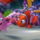 Finding Nemo